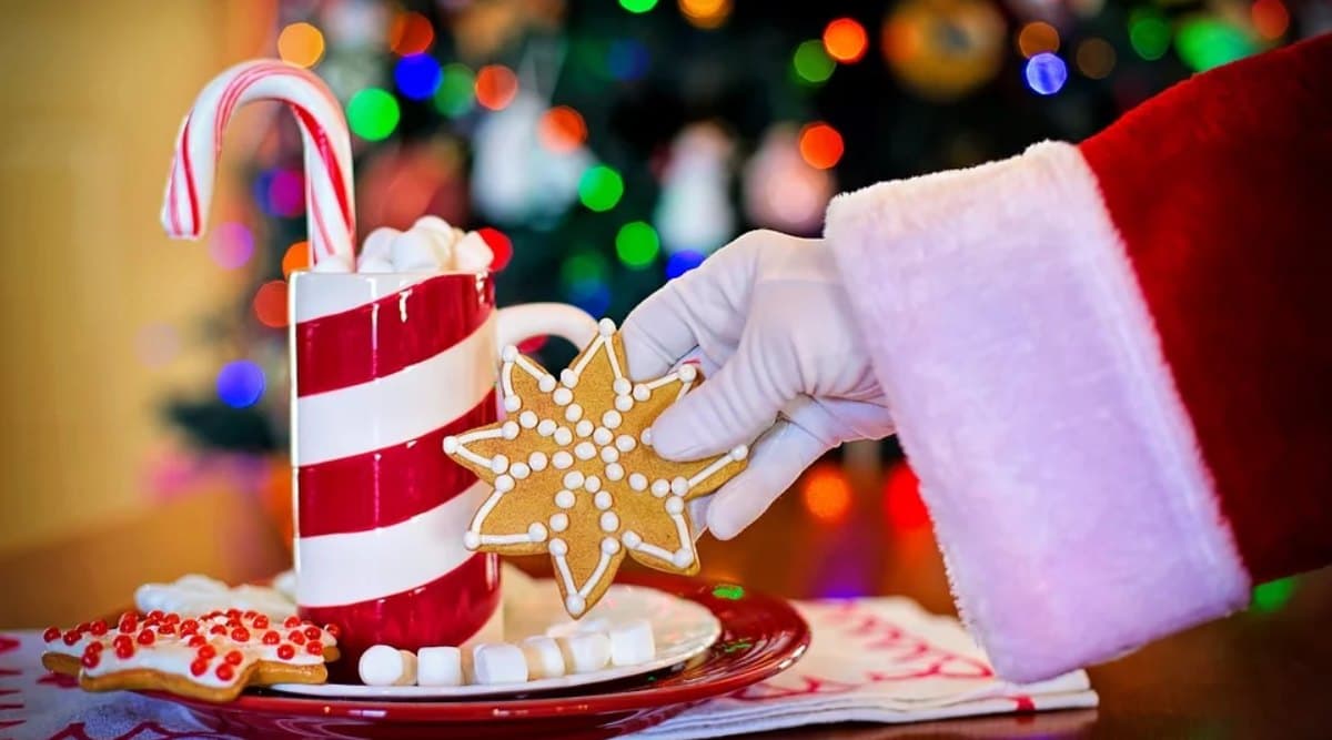 Christmas 2019: इस साल मनाएं इको-फ्रेंडली क्रिसमस, इस तरह करें पार्टी का आयोजन ताकि पर्यावरण को न पहुंचे नुकसान Christmas 2019: इस साल मनाएं इको-फ्रेंडली क्रिसमस, इस तरह करें पार्टी का आयोजन ताकि पर्यावरण को न पहुंचे नुकसान