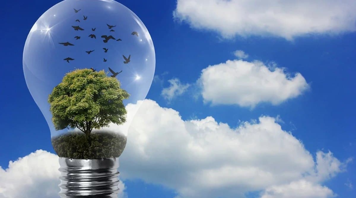 National Energy Conservation Day 2019: राष्ट्रीय ऊर्जा संरक्षण दिवस क्यों मनाया जाता है, जानें इसका इतिहास, महत्व और उद्देश्य National Energy Conservation Day 2019: राष्ट्रीय ऊर्जा संरक्षण दिवस क्यों मनाया जाता है, जानें इसका इतिहास, महत्व और उद्देश्य