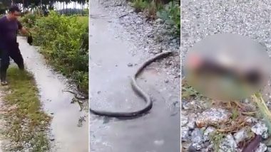मलेशिया: शख्स ने हशिए से काटा किंग कोबरा का सिर और ऑनलाइन शेयर किया क्लिप, देखें हैरान कर देने वाला वीडियो