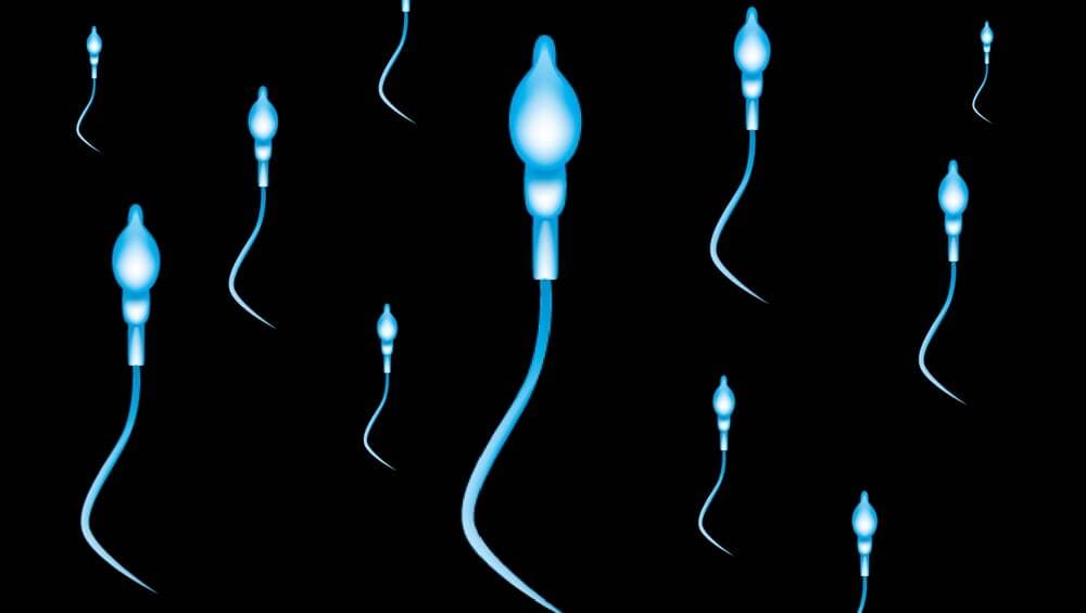 Male Fertility: पुरुषों की फर्टिलिटी के लिए घातक हैं उनकी ये 5 आदतें, कम हो सकता है स्पर्म काउंट