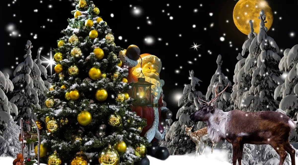 Christmas 2019: क्रिसमस के पर्व को मनाने के लिए खूबसूरती से सजाएं Xmas Tree, इन 5 डेकोरेशन आइडियाज की लें मदद Christmas 2019: क्रिसमस के पर्व को मनाने के लिए खूबसूरती से सजाएं Xmas Tree, इन 5 डेकोरेशन आइडियाज की लें मदद