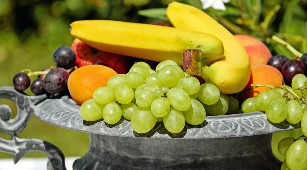 Lucky Fruits for 2020: नए साल में करें इन भाग्यशाली फलों का सेवन, सुख-समृद्धि और सौभाग्य का प्रतीक हैं ये फल Lucky Fruits for 2020: नए साल में करें इन भाग्यशाली फलों का सेवन, सुख-समृद्धि और सौभाग्य का प्रतीक हैं ये फल