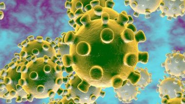 Coronavirus: सीआरपीएफ के महानिदेशक एपी माहेश्वरी और 20 वरिष्ठ अधिकारियों का कोरोना टेस्ट पॉजिटिव, खुद को किया क्वारंटाइन