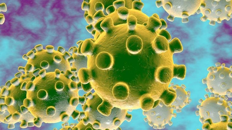 Coronavirus: कर्नाटक में 461 संदिग्ध निगरानी में