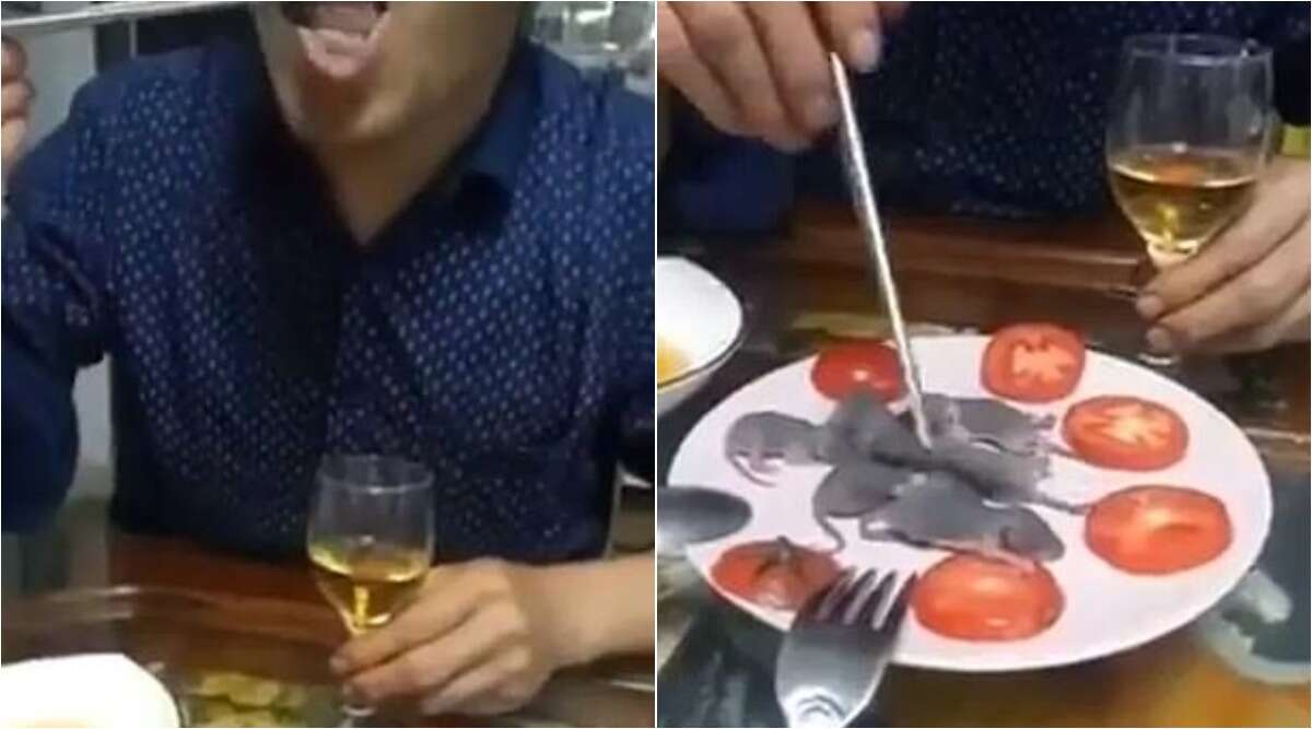 शख्स का सॉस में डूबोकर जिंदा चूहे खाने वाला क्लिप आया सामने, देखें वायरल वीडियो शख्स का सॉस में डूबोकर जिंदा चूहे खाने वाला क्लिप आया सामने, देखें वायरल वीडियो