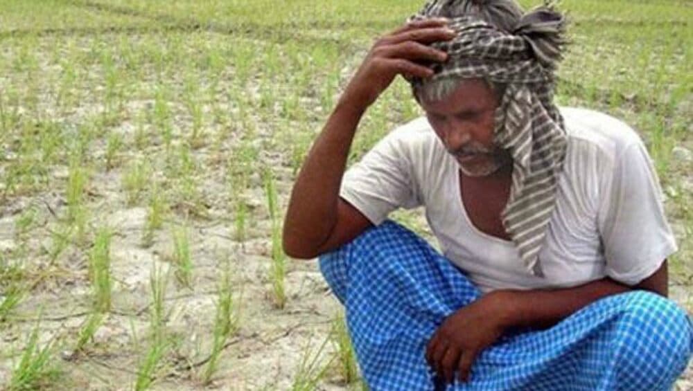 महाराष्ट्र: नेता जब राज्य में सत्ता के लिए कर रहे थे दंगल, तब 300 किसानों ने की आत्महत्या महाराष्ट्र: नेता जब राज्य में सत्ता के लिए कर रहे थे दंगल, तब 300 किसानों ने की आत्महत्या