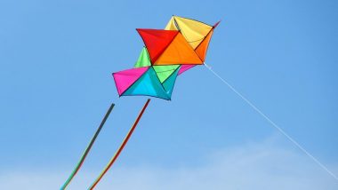Makar Sankranti 2020: पतंग कैसे उड़ाएं? जानें पतंगबाज़ी के कुछ आसान दांव पेच