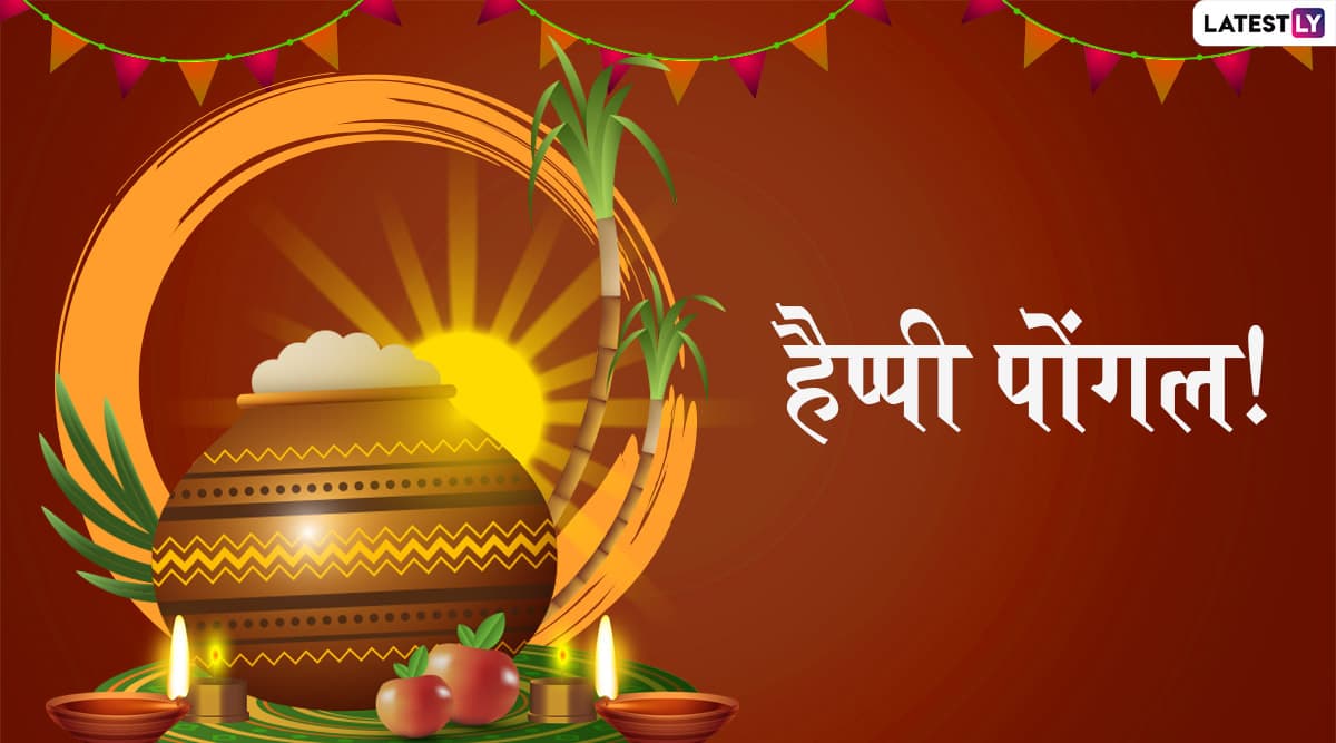 Pongal Messages 2020: पोंगल के त्योहार पर WhatsApp Stickers, Facebook Greetings, SMS, GIF Images, Wallpapers के जरिए मैसेज भेजकर अपने प्रियजनों को दें बधाई Pongal Messages 2020: पोंगल के त्योहार पर WhatsApp Stickers, Facebook Greetings, SMS, GIF Images, Wallpapers के जरिए मैसेज भेजकर अपने प्रियजनों को दें बधाई