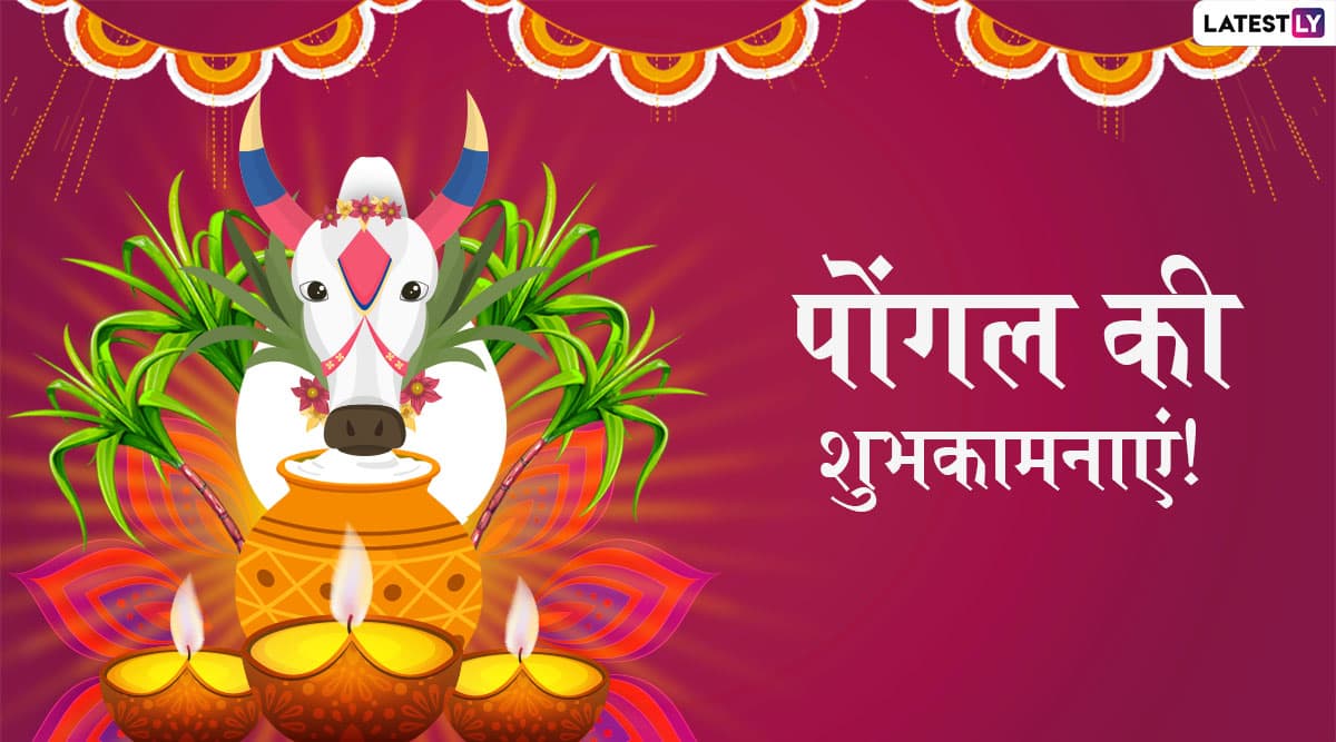 Pongal Wishes 2020: पोंगल के शुभ अवसर पर Facebook Greetings, SMS, GIF Images, WhatsApp Stickers, Wallpapers के जरिए मैसेज भेजकर दें शुभकामनाएं Pongal Wishes 2020: पोंगल के शुभ अवसर पर Facebook Greetings, SMS, GIF Images, WhatsApp Stickers, Wallpapers के जरिए मैसेज भेजकर दें शुभकामनाएं