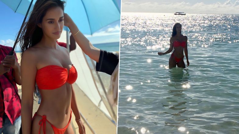 दिशा पटानी ने अपने Hot Bikini Photo से इंटरनेट पर लगाईं आग, तस्वीरों में दिखा Bold अंदाज