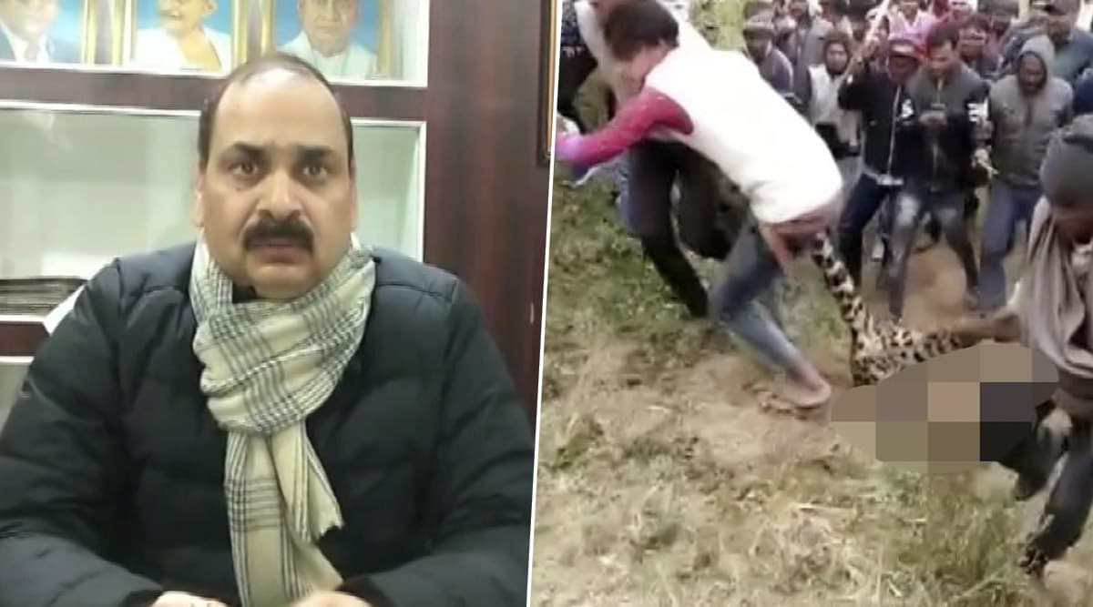 बिजनौर: ग्रामीणों ने आदमखोर तेंदुए को मारी गोली, स्कुल के लड़के को बनाया था शिकार बिजनौर: ग्रामीणों ने आदमखोर तेंदुए को मारी गोली, स्कुल के लड़के को बनाया था शिकार