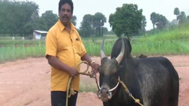 तमिलनाडु: मदुरै जिले में जल्लीकट्टू की तैयारियां शुरू, 15 जनवरी से आयोजित होंगी प्रतियोगिता प्रतियोगिताएं