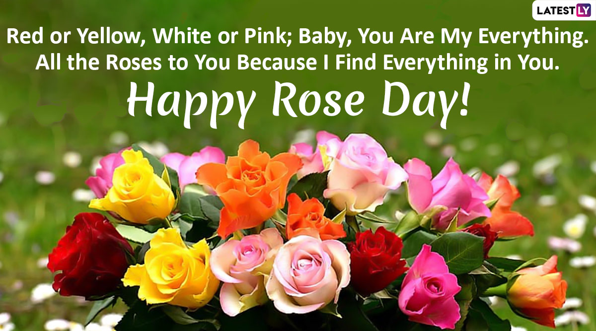 Happy Rose Day 2020 Greetings in English: रोज दे पर ...