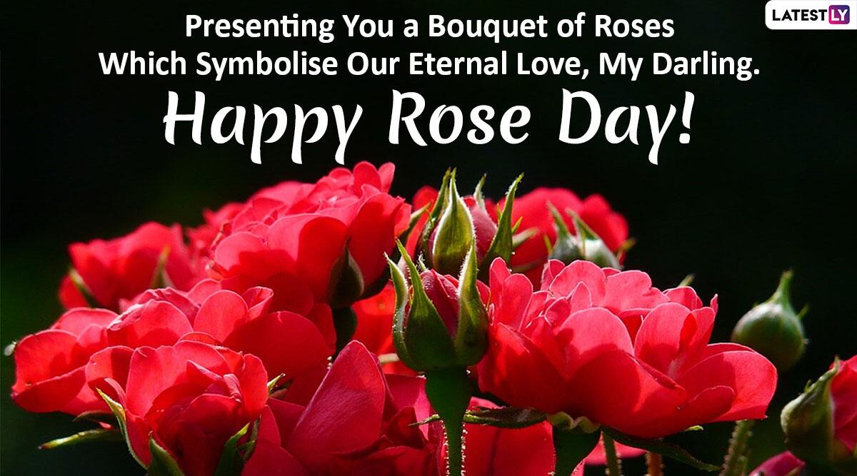 Happy Rose Day 2020 Greetings in English: रोज दे पर ...