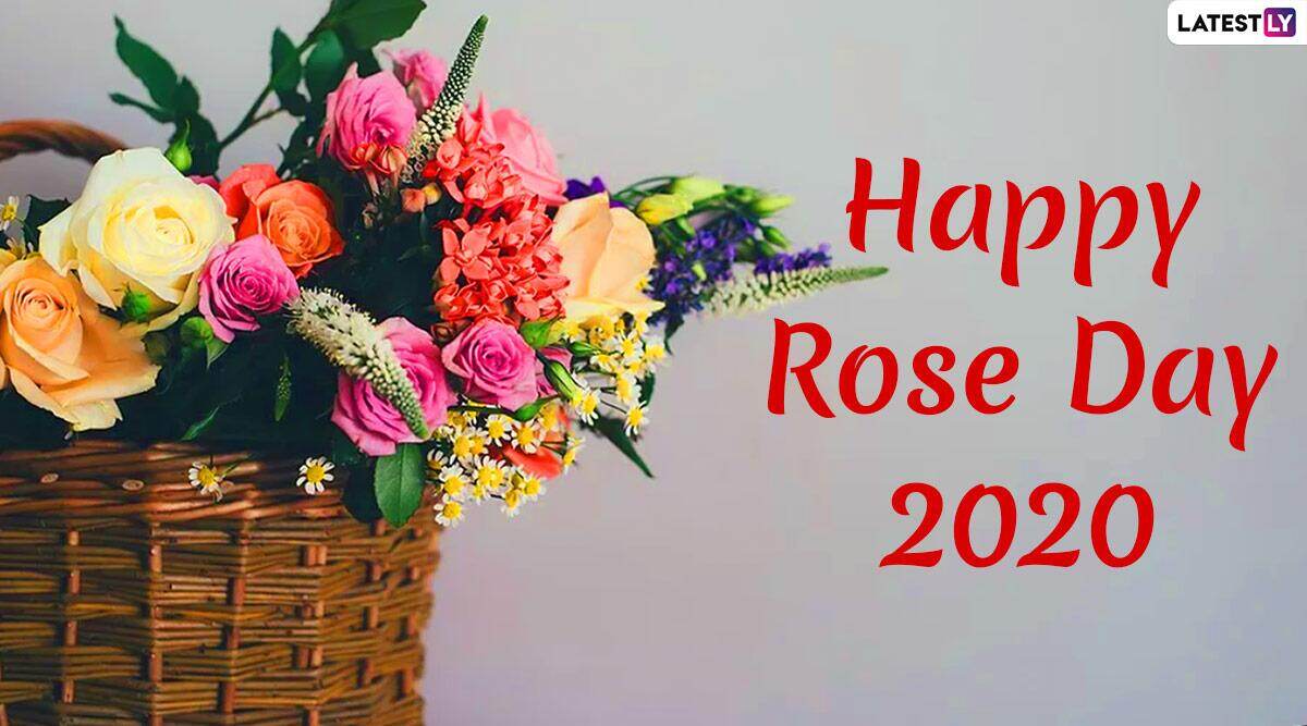 Happy Rose Day 2020 Greetings in English: रोज दे पर ...