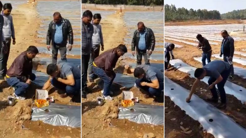 झारखंड: क्रिकेटर धोनी बने किसान, कर रहे हैं तरबूज और पपीते की खेती