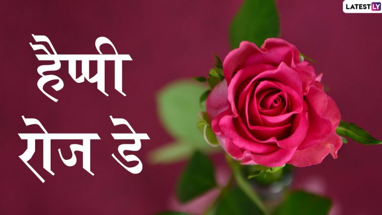 Valentine Week 2021: क्यों मानते हैं गुलाब को प्रेम का प्रतीक? किस रंग के गुलाब कब, किसे और क्यों भेंट करना चाहिए
