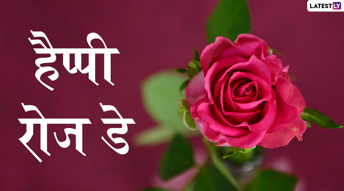Happy Rose Day 2020 Wishes: अपने चाहने वालों को ...