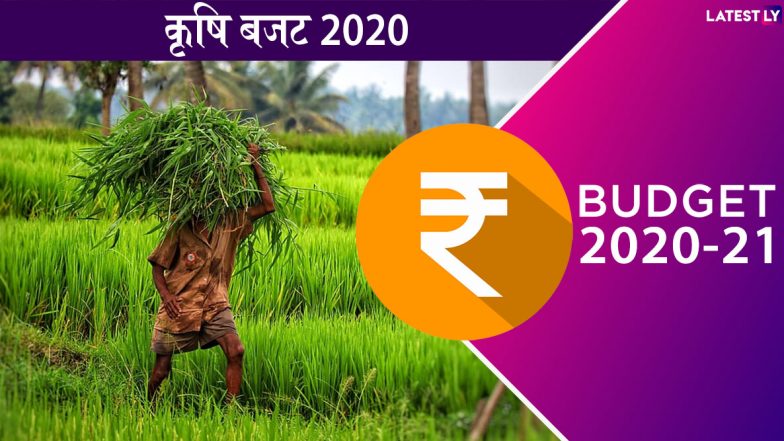 Agriculture Budget 2020: वित्त मंत्री निर्मला सीतारमण का बड़ा ऐलान, 16 सूत्रीय फॉर्मूले के तहत किसानों को मिलेगा फायदा