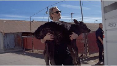 ऑस्कर विनर अभिनेता वॉकीन फीनिक्स ने बचाई गाय और 3 दिन के बछड़े की जान, देंखे वीडियो