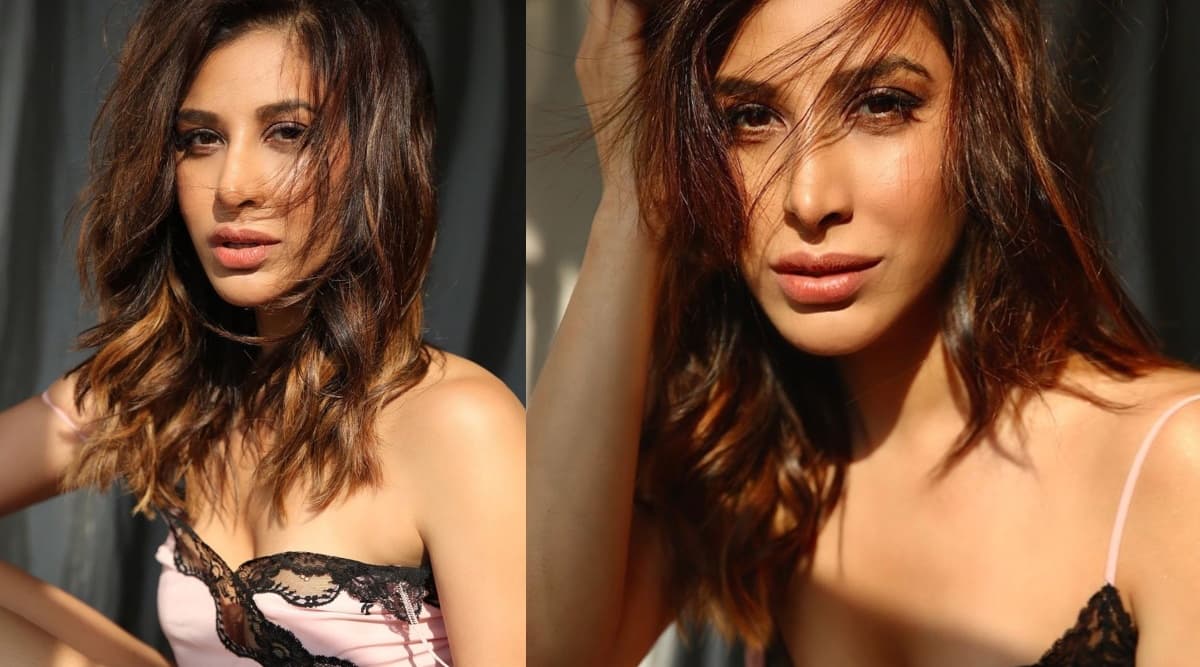 सोफी चौधरी ने शेयर की Hot Pictures, फैंस बोले काम से ध्यान न भटकाओं सोफी चौधरी ने शेयर की Hot Pictures, फैंस बोले काम से ध्यान न भटकाओं
