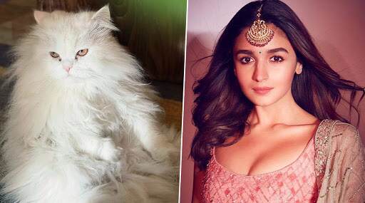 आलिया भट्ट ने सोशल मीडिया पर शेयर की ये क्यूट पिक्चर, कहा- 'इसके चेहरे को देखो' आलिया भट्ट ने सोशल मीडिया पर शेयर की ये क्यूट पिक्चर, कहा- 'इसके चेहरे को देखो'