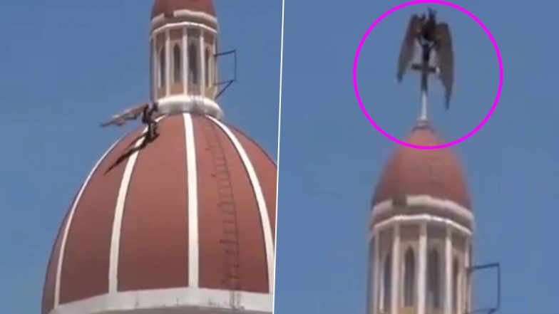 Fact Check: इटली में COVID-19 के कहर के बीच चर्च पर दिखा डरावना पक्षी, जानिए क्या है इस फेक वायरल वीडियो की सच्चाई