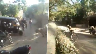 गुजरात: शेर ने गांव वालों की तरफ तेज रफ्तार से लगाई दौड़, घबराए लोगों ने किया कुछ ऐसा... देखें हैरान करने वाला वीडियो