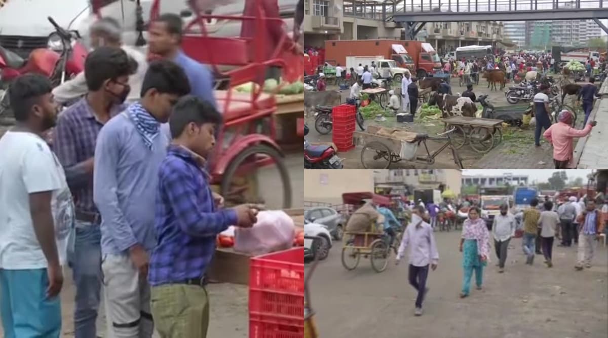 Coronavirus Lockdown: राजधानी दिल्ली में लॉकडाउन का उल्लंघन, सब्जी मंडी में लोगों ने सोशल डिस्टेंसिंग को किया पूरी तरह नजरअंदाज Coronavirus Lockdown: राजधानी दिल्ली में लॉकडाउन का उल्लंघन, सब्जी मंडी में लोगों ने सोशल डिस्टेंसिंग को किया पूरी तरह नजरअंदाज