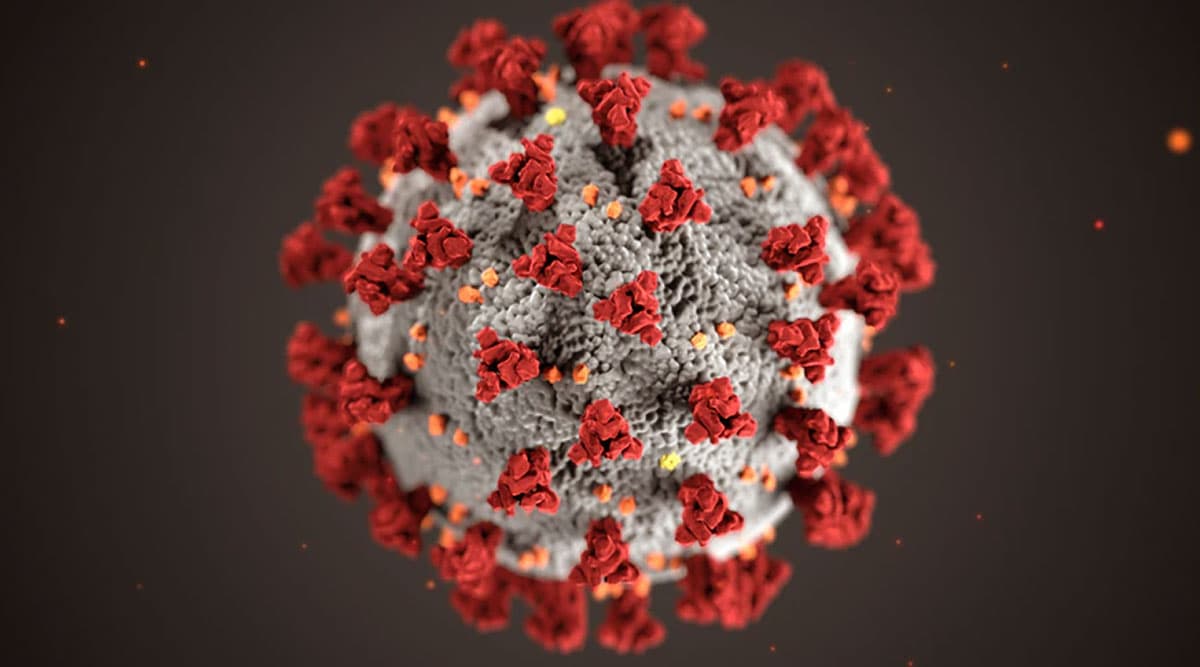 Coronavirus: इंदौर में सोशल मीडिया पर 30 अप्रैल तक लॉकडाउन का मैसेज हो रहा है वायरल, जानें क्या है सच्चाई Coronavirus: इंदौर में सोशल मीडिया पर 30 अप्रैल तक लॉकडाउन का मैसेज हो रहा है वायरल, जानें क्या है सच्चाई