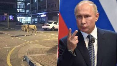 Fact Check: रूस के राष्ट्रपति व्लादिमीर पुतिन ने सड़क पर छोड़े 800 शेर और बाघ ? जानें खबर की सच्चाई