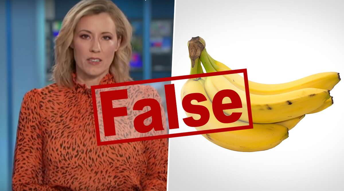 Fact Check: क्या केले खाने से नहीं होगा कोरोना वायरस का संक्रमण? जानें क्या है इस वायरल हो रहे वीडियो की सच्चाई Fact Check: क्या केले खाने से नहीं होगा कोरोना वायरस का संक्रमण? जानें क्या है इस वायरल हो रहे वीडियो की सच्चाई