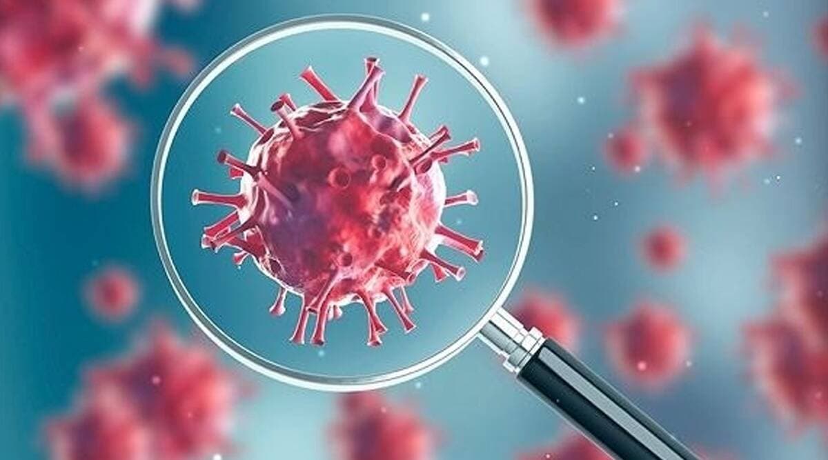 Coronavirus Scare: स्पेन में कोरोना वायरस से मरने वालों की संख्या 4000 के पार पहुंची Coronavirus Scare: स्पेन में कोरोना वायरस से मरने वालों की संख्या 4000 के पार पहुंची