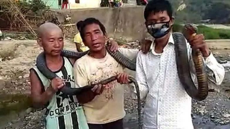 अरुणाचल प्रदेश: लॉकडाउन के बीच शिकारियों ने किंग कोबरा को मार कर खाया