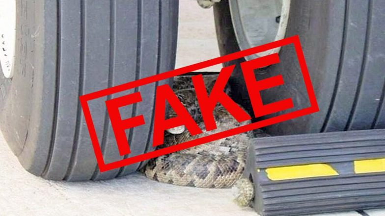 Fact Check: लॉकडाउन के बीच इंदिरा गांधी इंटरनेशनल एयरपोर्ट पर विमान के सामने वाली पहियों के बीच आराम करता दिखा अजगर, जानें इस वायरल तस्वीर की सच्चाई