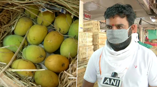लॉकडाउन से आम का कारोबार चौपट, ग्राहकों की कमी से आधा स्टॉक बिकना भी हुआ मुश्किल