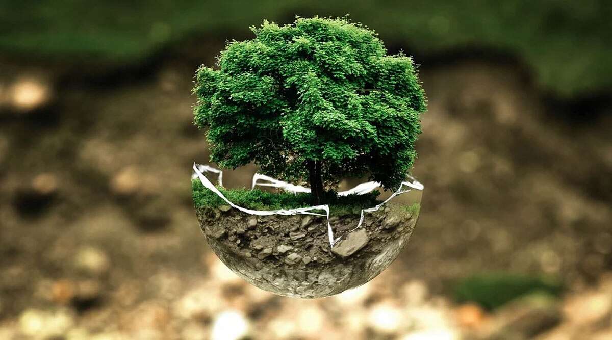 World Earth Day-2020: जानें कैसे हुई इसकी शुरुआत? पृथ्वी-संरक्षा में आप भी बनें भागीदार!