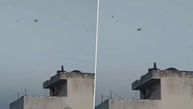 देश में लॉकडाउन के बीच बिल्डिंग की खाली छत पर बंदर ने उड़ाया पतंग, देखें वीडियो
