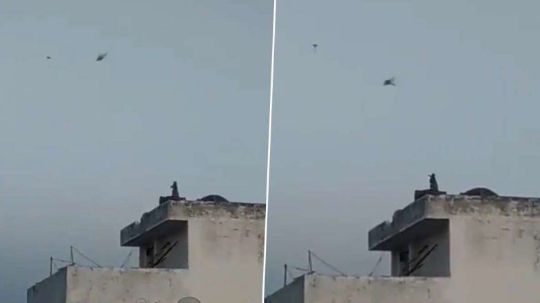 देश में लॉकडाउन के बीच बिल्डिंग की खाली छत पर बंदर ने उड़ाया पतंग, देखें वीडियो