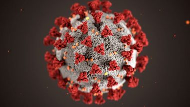 क्या है कोमोरबिडिटी, जिसमें है कोरोना वायरस संक्रमण का ज्यादा खतरा?