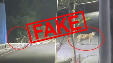 Fact Check: क्या लॉकडाउन के बीच ठाणे की सड़कों पर घूमता दिखा तेंदुआ, जानें सोशल मीडिया पर वायरल हो रहे वीडियो के पीछे का सच