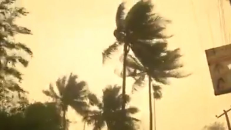 VIDEO: कोरोना वायरस प्रकोप के बीच असम में बदला मौसम का मिजाज, धूल भरी आंधी के साथ चली तेज हवाएं
