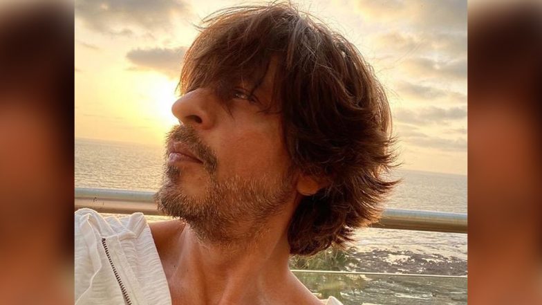 Rahul Tripathi के लिए Shah Rukh Khan ने बोला अपना पसंदीदा डायलॉग, 'राहुल, नाम तो सुना होगा'