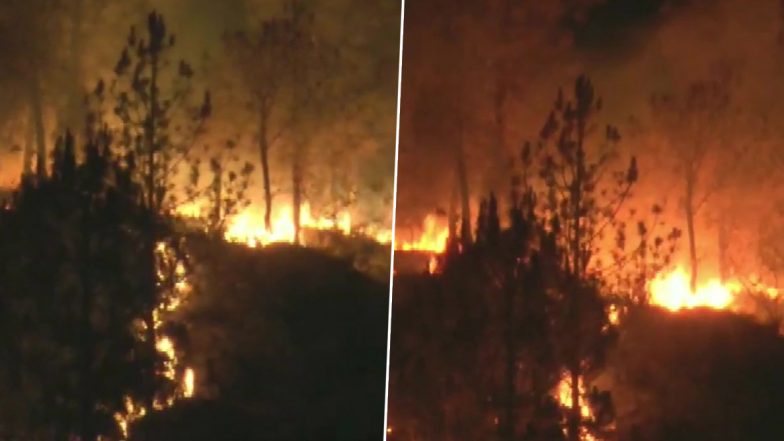 Cyprus: साइप्रस के जंगलों में लगी भीषण आग, 4 लोगों की मौत