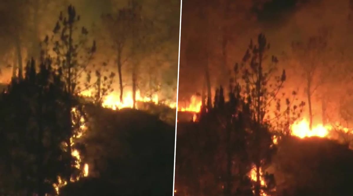 Uttarakhand Forest Fire Update: आग से अब तक 111 हेक्टेयर भूमि प्रभावित, 3 लाख रुपये का हुआ नुकसान Uttarakhand Forest Fire Update: आग से अब तक 111 हेक्टेयर भूमि प्रभावित, 3 लाख रुपये का हुआ नुकसान