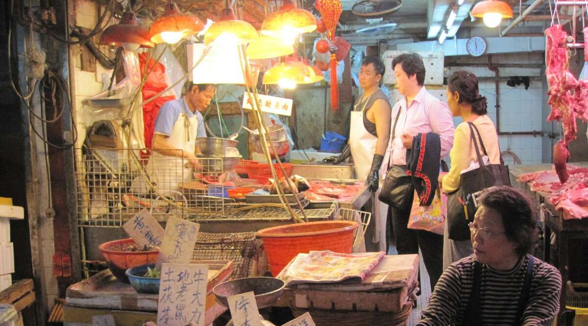 चीन: वुहान में जंगली जानवरों को खाने पर लगा बैन