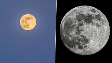 Super Flower Moon 2020 Photos: पूरे विश्व ने देखा साल का आखिरी 'सुपरमून', सोशल मीडिया यूजर्स ने इंटरनेट पर शेयर की खास तस्वीरें