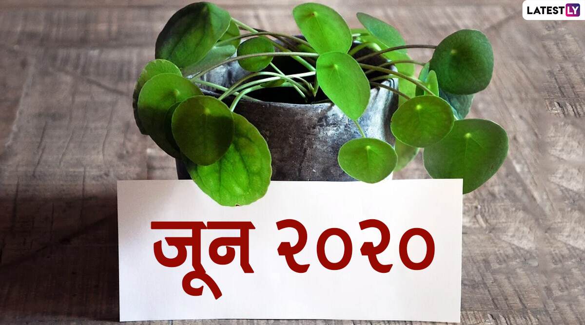 June 2020 Festival Calendar: गंगा दशहरा, निर्जला एकादशी से लेकर वट पूर्णिमा तक, जानें जून महीने में पड़ेंगे कौन-कौन से व्रत और त्योहार, देखें पूरी लिस्ट June 2020 Festival Calendar: गंगा दशहरा, निर्जला एकादशी से लेकर वट पूर्णिमा तक, जानें जून महीने में पड़ेंगे कौन-कौन से व्रत और त्योहार, देखें पूरी लिस्ट