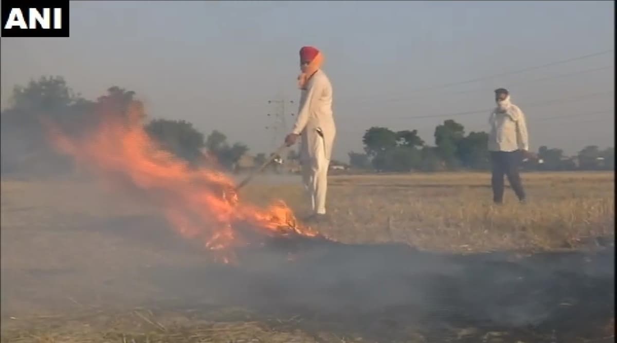 उत्तर प्रदेश में पराली जलाने पर 2 हजार किसानों पर मामला दर्ज, वायु प्रदूषण को रोकने के लिए दिए गए सख्त निर्देश