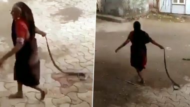 Cobra Viral Video: बहादुर बुजुर्ग महिला ने  कोबरा सांप को रस्सी की तरह पकड़ कर फेंका घर से दूर, हिम्मत की सब दे रहे हैं दाद